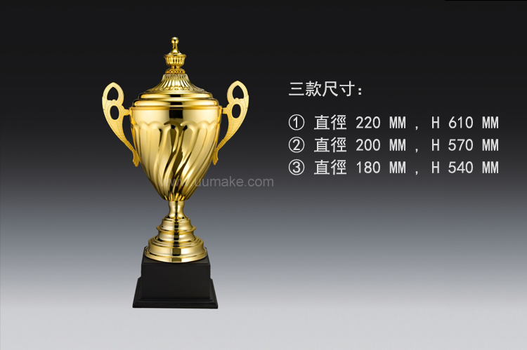 金屬獎盃 金屬獎盃,獎座,獎牌,擺件,獎杯,水晶,Crystal,廣告禮品,金屬獎盃