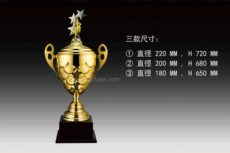 金屬獎盃 金屬獎盃,獎座,獎牌,擺件,獎杯,水晶,Crystal,廣告禮品,金屬獎盃