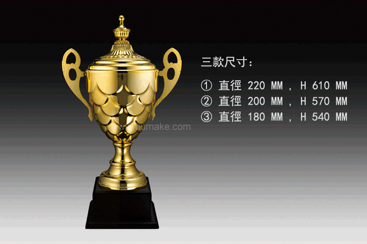 金屬獎盃 金屬獎盃,獎座,獎牌,擺件,獎杯,水晶,Crystal,廣告禮品,金屬獎盃