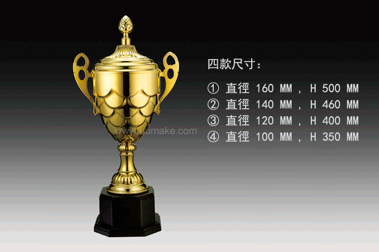 金屬獎盃 金屬獎盃,獎座,獎牌,擺件,獎杯,水晶,Crystal,廣告禮品,金屬獎盃