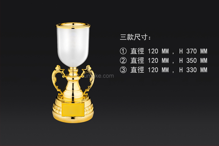 金屬獎盃 獎座,獎牌,擺件,獎杯,水晶,Crystal,廣告禮品,金屬獎盃