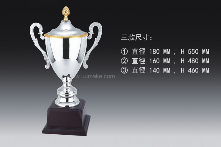 金屬獎盃 獎座,獎牌,擺件,獎杯,水晶,Crystal,廣告禮品,金屬獎盃